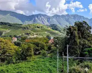 Private transfer and customized wine tour experience in Tramonti/Minori with Valentina Gambardella's luxury Mercedes van